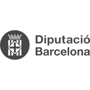 Diputació Barcelona - Gray Logo